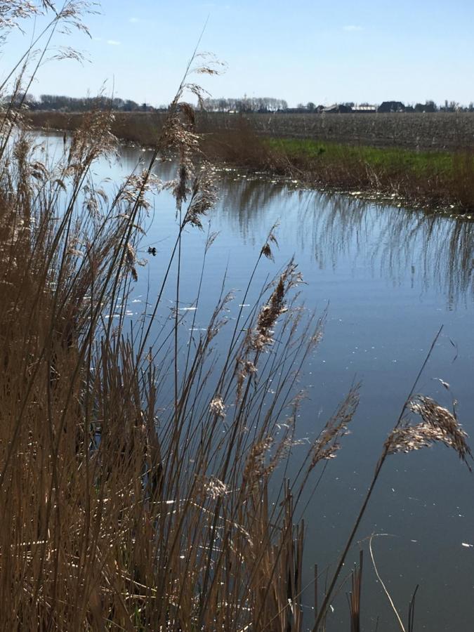 Vakantiehuis 'T Laaisterplakky Zonder Drempels Oude Bildtzijl المظهر الخارجي الصورة